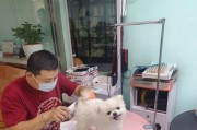 让你的狗狗不再臭气熏天的小贴士（让你的狗狗保持清新的关键是什么？）