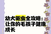 刚出生的幼犬，何时进行驱虫最为适宜？（幼犬驱虫时间表及注意事项）