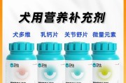 狗狗所需的维生素种类及其作用（了解狗狗所需的维生素类型，保持它们的健康与活力）