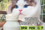 小猫体外驱虫药应该什么时候使用？（猫咪健康护理，驱虫药使用时机的重要性）