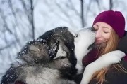 阿拉斯加犬掉毛的原因与应对方法（了解阿拉斯加犬掉毛的原因，让你的宠物更健康）