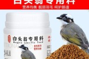 小白头鹎的主要食物是什么？（揭秘白头鹎的食谱及其对环境的影响）