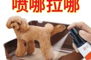 狗狗尿液发黄该怎么办？（推荐4种药物帮助狗狗恢复尿液健康）