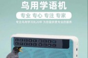 让鹦鹉学说话的方法和技巧（掌握正确的训练方法，教鹦鹉说出你想听的话）