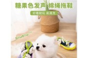 为什么狗喜欢叼拖鞋？（揭秘狗狗喜欢叼拖鞋的原因及解决方法）