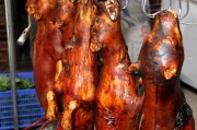 为什么我们不能吃狗肉？（以宠物为主，从道德、卫生、文化等方面探讨狗肉食用的不当行为）