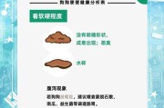 一天需要拉几次便便才算是健康的狗狗？（了解狗狗排便的频率与健康标准，）