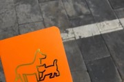 狗狗疫苗（了解狗狗疫苗及其作用，让你的宠物安心健康）