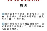 如何处理宠物狗子的皮肤病？（——宠物狗、皮肤病、处理方法）