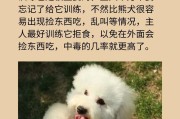 比熊洗澡时间探秘（比熊洗澡频率与洗澡时间间隔的科学指导）