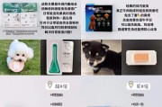 如何给幼犬驱虫？（选择适合幼犬的驱虫方法）
