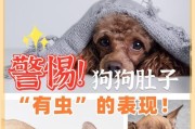 狗狗拉的蛔虫能活多久？（了解蛔虫存活时间的重要性）