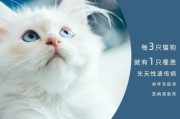 揭开猫遗传病的面纱——了解猫的遗传病及预防措施（探索猫遗传病的成因与特点，为宠物主人提供健康照护）