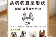 女人养狗的性格特点（探寻女性养狗行为的背后）