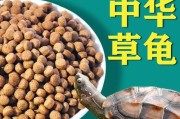 陆龟的饮食习性与食物选择（陆龟喜爱的食物及饲养注意事项）