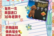 如何正确进行狗狗驱虫？（驱虫时间和频率的重要性）