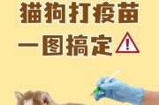 狗狗疫苗保护它们的健康（了解狗狗打的常见疫苗及其重要性）