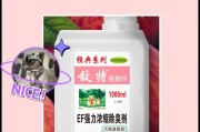消除室内狗狗异味的有效方法（轻松除味，让家更清新）