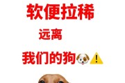 以哪种品种的狗肠胃易受损？（了解狗的肠胃敏感性，保护它们的健康）