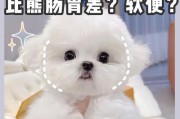 如何判断狗狗是否拉稀？狗狗拉稀怎么办？（轻松辨别拉稀症状，有效应对狗狗拉稀问题）
