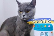 小猫成长记——选择适合的奶粉（为你的小猫提供最佳营养）