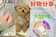 如何选择适合狗狗的狗粮？（解析狗狗喜欢的狗粮品牌及营养需求）