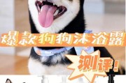 如何用浴液给狗狗洗澡？（一步步教你为爱宠洗个舒适澡）