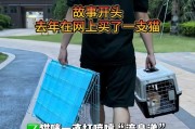 猫咪感冒怎么治疗？（解决猫咪打喷嚏流鼻涕的有效方法）