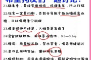 博美犬的适合养宠原因（探索博美犬的可爱特性与多样用途）