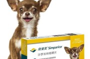 狗狗驱虫计划（掌握正确的驱虫时间，守护宠物健康）
