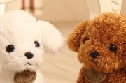 如何为宠物狗选择最适合的玩具（从宠物狗的品种、年龄、性格等方面出发，为其选择适合的玩具）