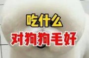 科学喂养帮助狗狗长高个（狗狗饮食的关键，从孩提时期开始养成好习惯）