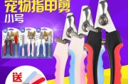 狗狗过敏刀头怎么办？（了解刀头过敏的原因及治疗方法）