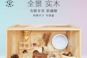 如何饲养健康快乐的子午沙鼠（以宠物为主，让您的小宝贝健康成长）