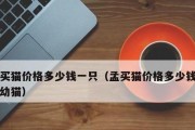 如何训练你的宠物大白熊握手（一步步教你让大白熊成为你的最佳搭档）