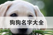 《萌宠系列——拥有一个“好听”的狗名字》