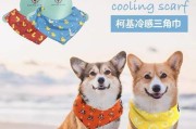 宠物中暑怎么办（预防措施、症状表现、急救方法）