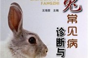 兔子常见疾病及防治方法（保护宠物兔子健康的关键措施）