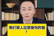狗打架为什么喜欢咬大腿？（探索狗打架中咬大腿行为的原因与解决方法）