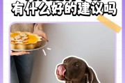 宠物狗肠胃问题怎么办？（预防与治疗，让你的爱犬吃得健康）