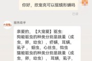 幼犬驱虫的风险与注意事项（保护幼犬健康，正确驱虫很重要）