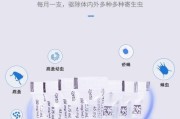猫咪驱虫药的使用频率问题（猫咪体内驱虫药的最佳使用间隔及使用注意事项）