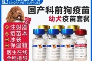 三个月大幼犬应该打哪些疫苗？（保护宝贝犬健康的必要措施）