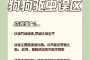狗狗驱虫药使用指南（如何正确使用驱虫药保护你的爱宠）