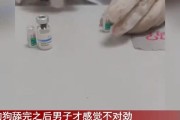 狗为什么会舔伤口？（探究狗舔伤口行为背后的原因及影响）