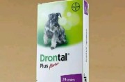 拜耳宠物驱虫药，保护你的猫咪健康（掌握正确使用方式，避免驱虫药误伤宠物）