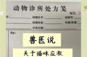 万能维生素（探讨维生素在帮助猫咪缓解应激反应中的作用）