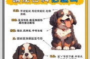 为什么养伯恩山犬的人多？（探寻伯恩山犬的优点与魅力）