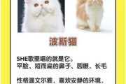 九大常见猫咪品种大揭秘（探寻猫咪世界的各色风采，认识九大常见猫咪品种）