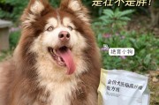 狗狗绝育（让狗狗更健康的关键——绝育手术）